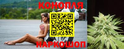 стафф Владикавказ