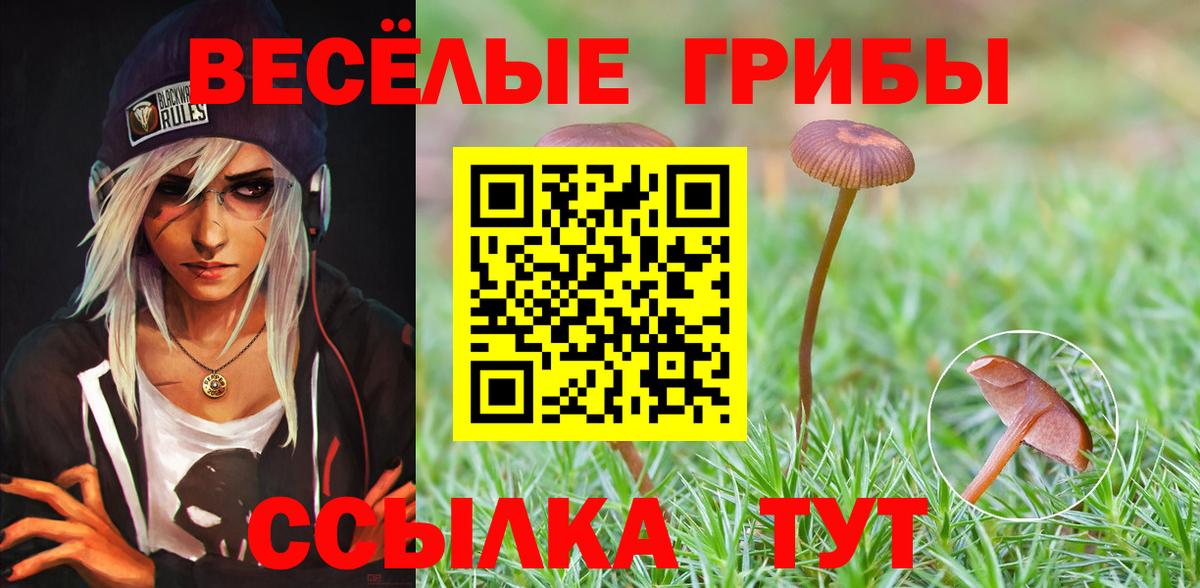 Балашиха  Галлюциногенные грибы Magic Shrooms  Вход с VPN 