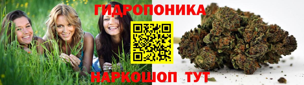 Конопля сатива  МАРИХУАНА семена  Балашиха  МАРИХУАНА White Widow  Шишки марихуана LSD WEED  Вход с VPN 